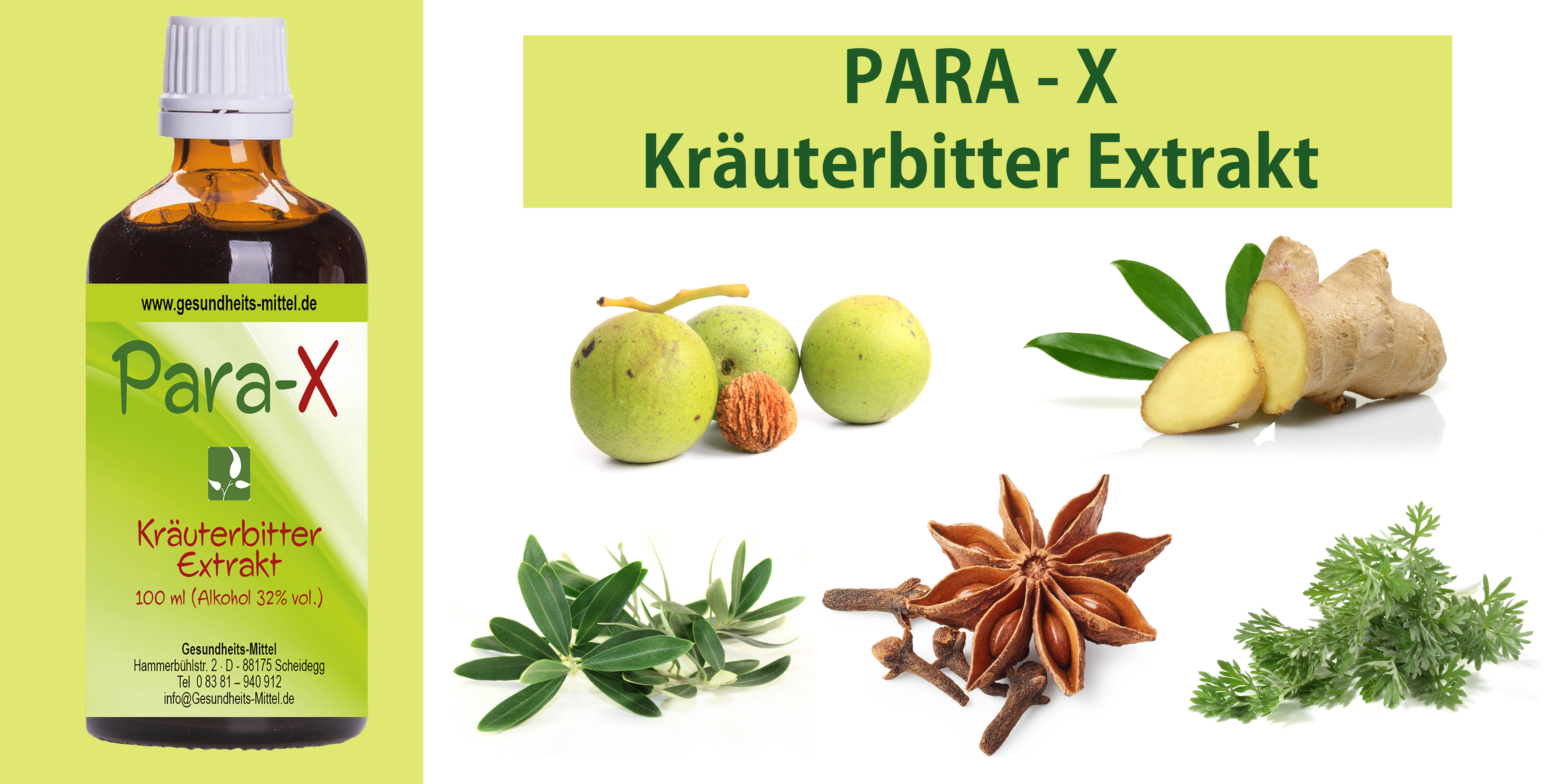 Para-X Kräuterbitter Extrakt – pflanzliches Bittermittel mit Ingwer, Anis, Nelke und Kräutern zur Unterstützung von Verdauung und Stoffwechsel